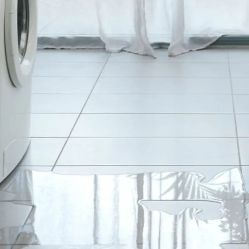 Appliance Leak Cleanup in Wilsonville, OR
